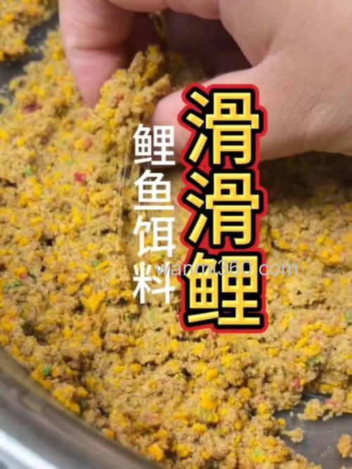 钧鲤专用饵料配方?