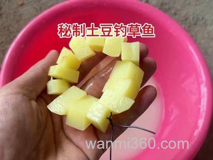 马铃薯草鱼钓饵应怎样制作?