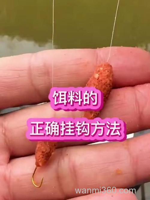 钓燕鱼挂饵技巧？