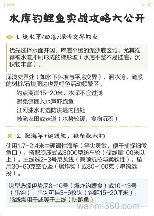 钓鲤鱼技巧全攻略?