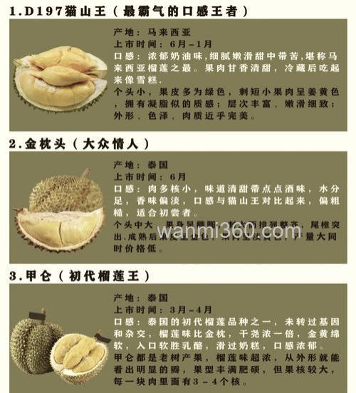 关于榴莲好听的名字?