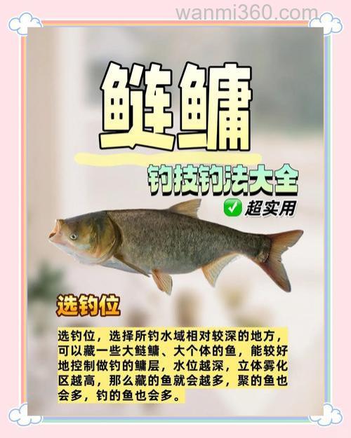 野钓花鲢的技巧与选择,这些你都知道吗?