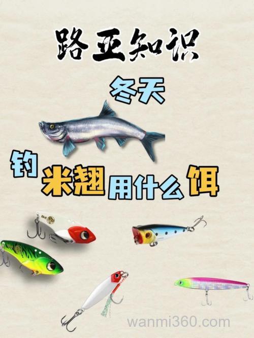 米翘用什么饵？
