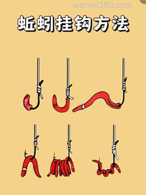 野钓鲫鱼怎么挂蚯蚓上钩率高