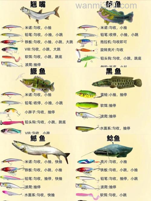 六月份钓鱼的最佳时间 6月份钓鱼用什么饵料合适