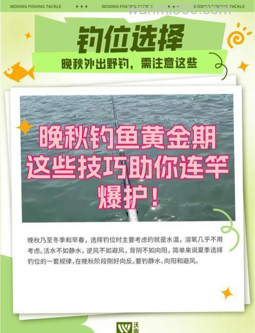 秋季钓鱼黄金季,掌握技巧提升收获,这些实用技巧快收藏