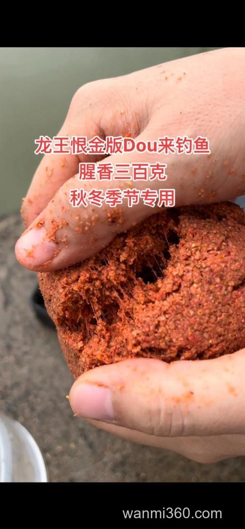 冬天钓鱼用龙王恨香好还是?
