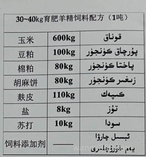 羊饲料怎么搭配健康营养