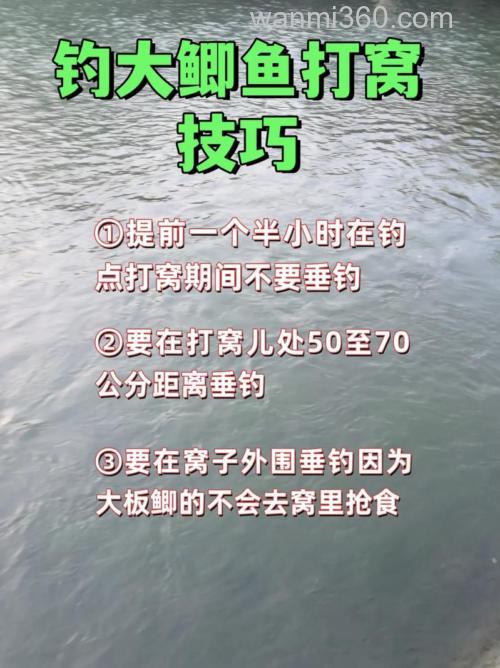 鲫鱼打窝正确方法钓鲫鱼打窝技巧