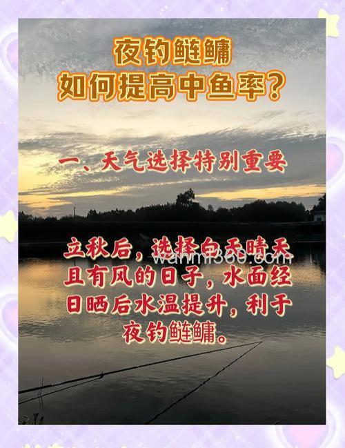 秋季如何钓鲢鳙