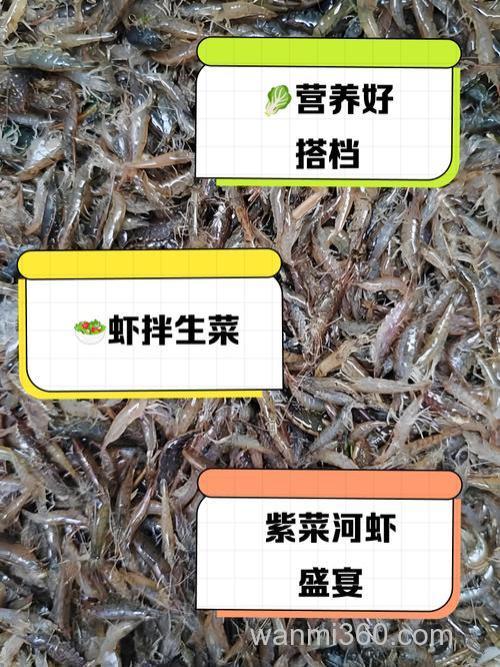 河虾最佳诱饵料配方?