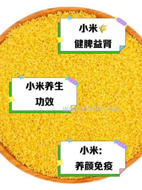 麝香小米香甜味冬天能用吗？