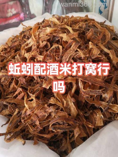 黄色酒米打窝用蚯蚓钓可以吗?