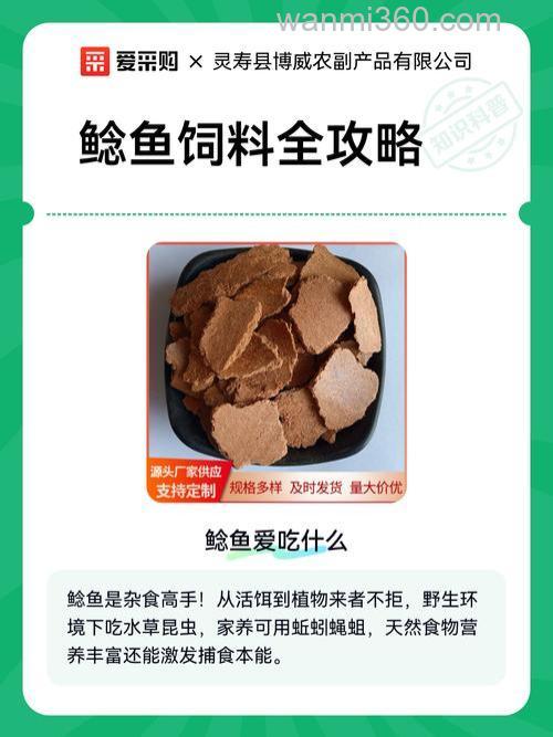 鲶鱼吃什么鱼料