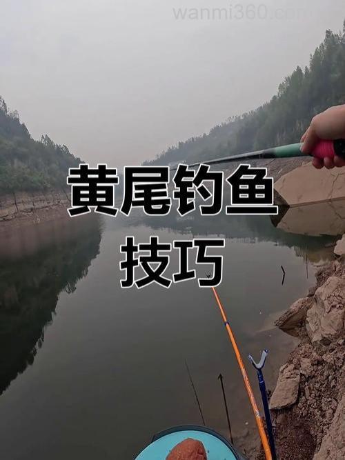 野钓黄尾技巧大揭秘!这些水域藏鱼多,钓点这样找