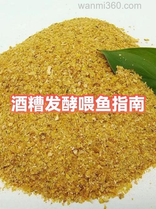 啤酒厂酒糟怎么处理喂鱼?