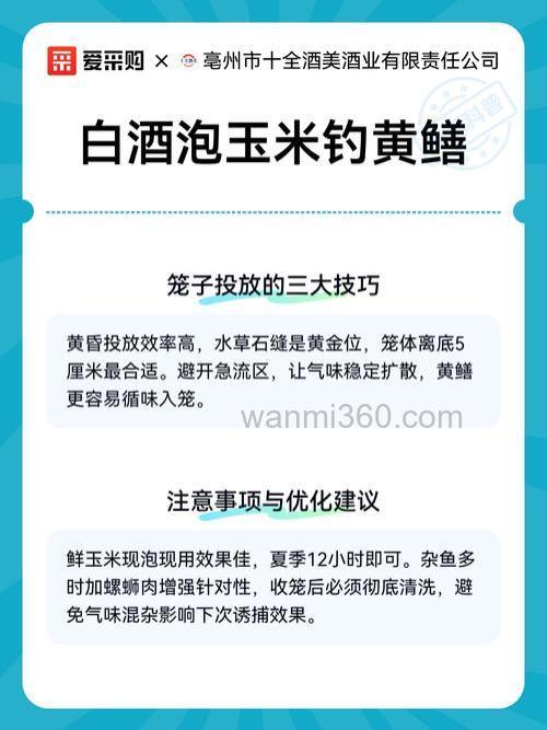 干玉米直接用酒泡直接钓鱼吗？