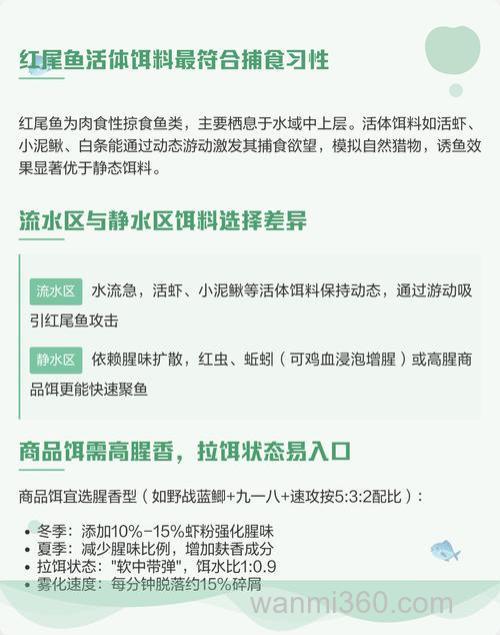 钓红尾鱼最佳饵料配方？
