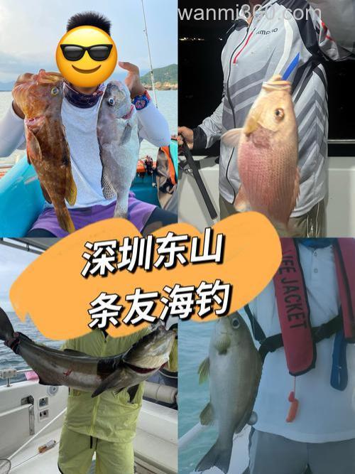 海钓鲅鱼乐趣多,掌握技巧收获丰,钓点选择有讲究