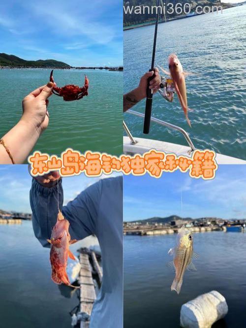 沿海钓友爱海钓腊鱼?掌握这些技巧,提高上钩率