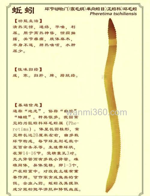 求蚯蚓的饲养方法及饲料配方...知道的请进...