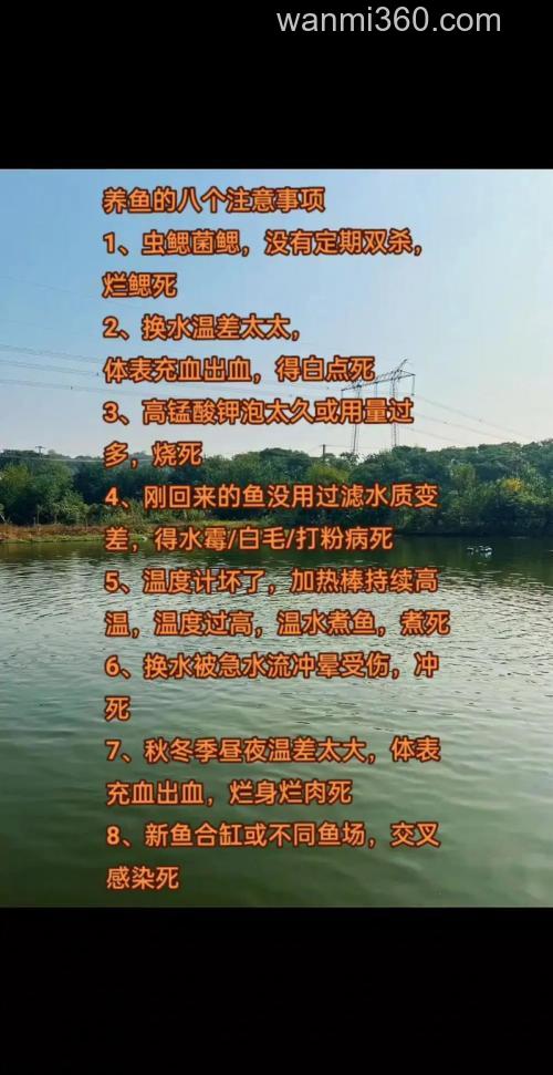 为什么池塘养鱼要撒肥料?