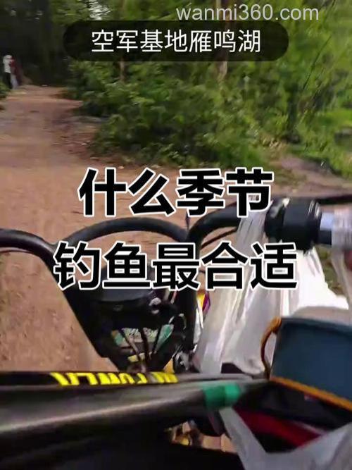 什么季节最适合钓鱼？