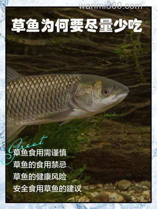 草鱼吃不吃猪吃的饲料？