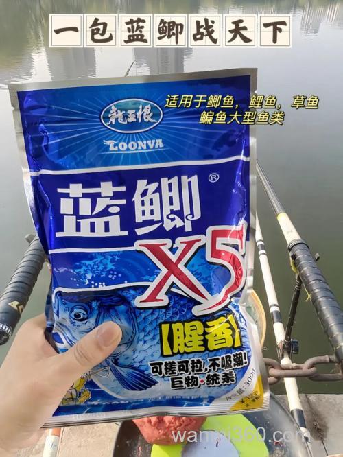 丸九蓝鲫怎么用？