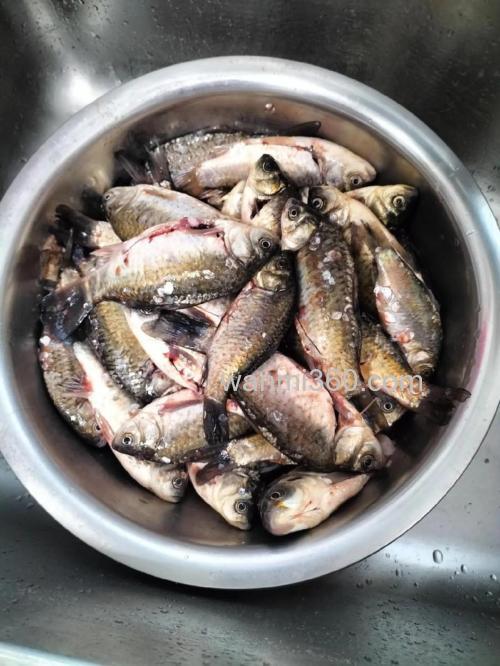 清理鱼塘小鲫鱼的最佳方法?