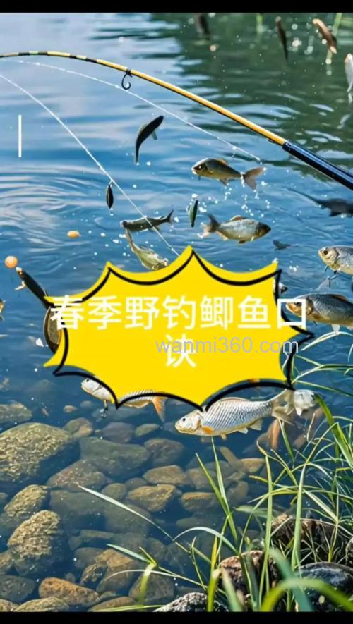4月初雨后晴天钓鲫鱼方法?