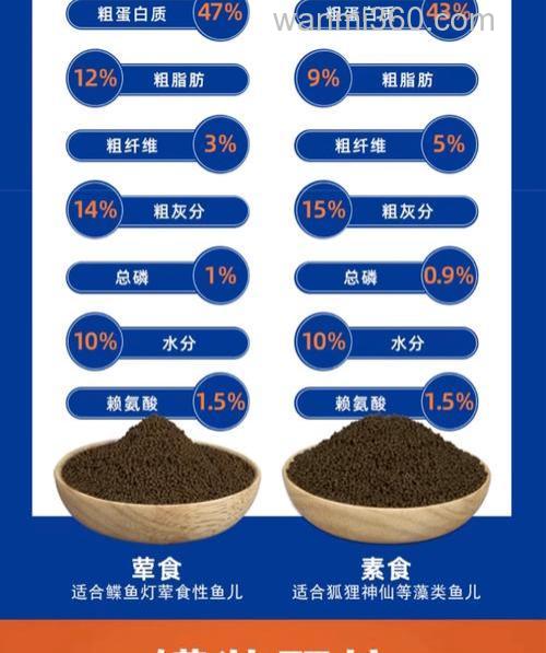 小鱼饲料配方?