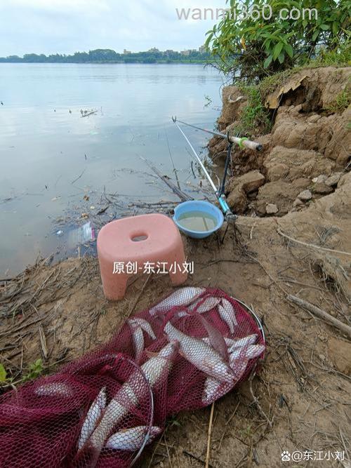 这几天哪个坑都不好钓