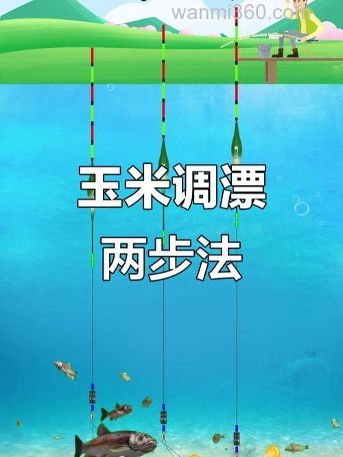 挂玉米粒钓鲤鱼调漂最佳方法?