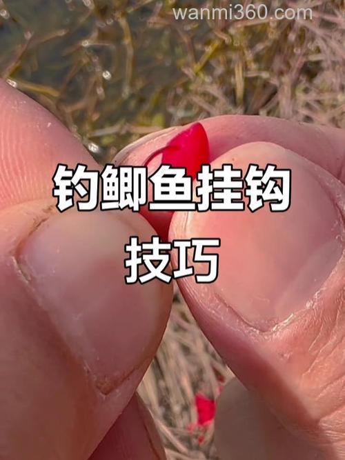 如何钩酒米钓鱼