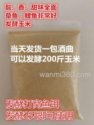 甜酒曲怎么发酵小麦钓鱼窝料?