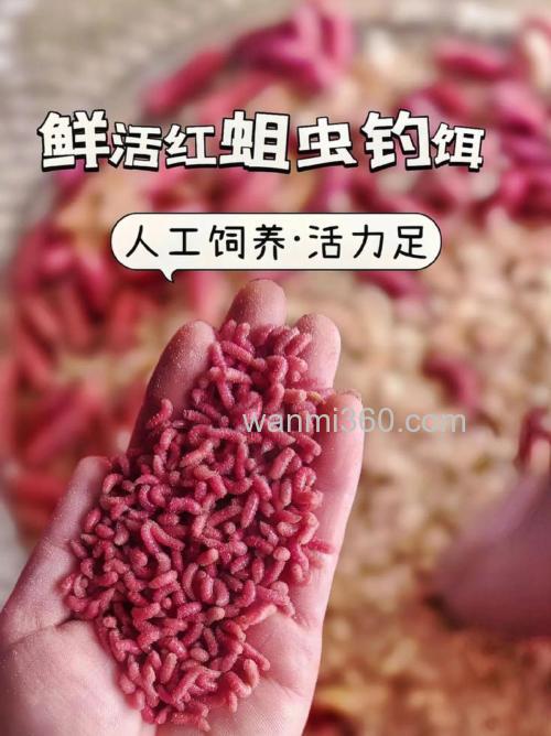 红色鱼饵料是怎样变成红色的?