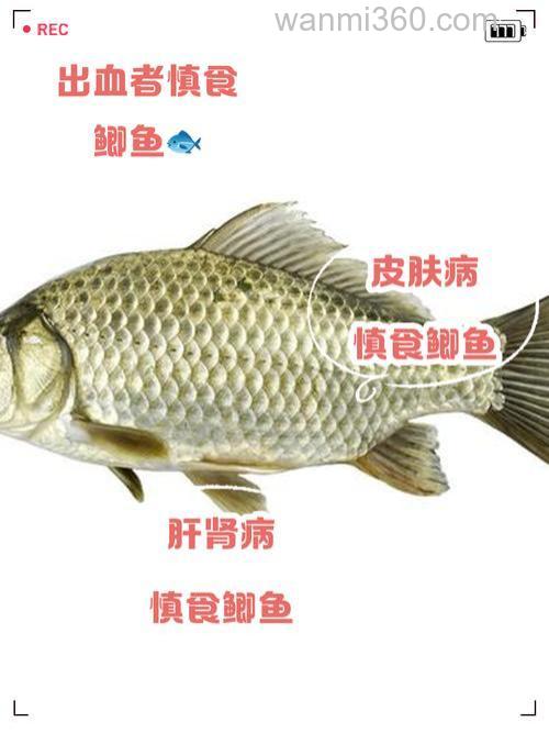 李老师,草鱼饵中的酸味对鲤鱼,鲫鱼有什么影响?