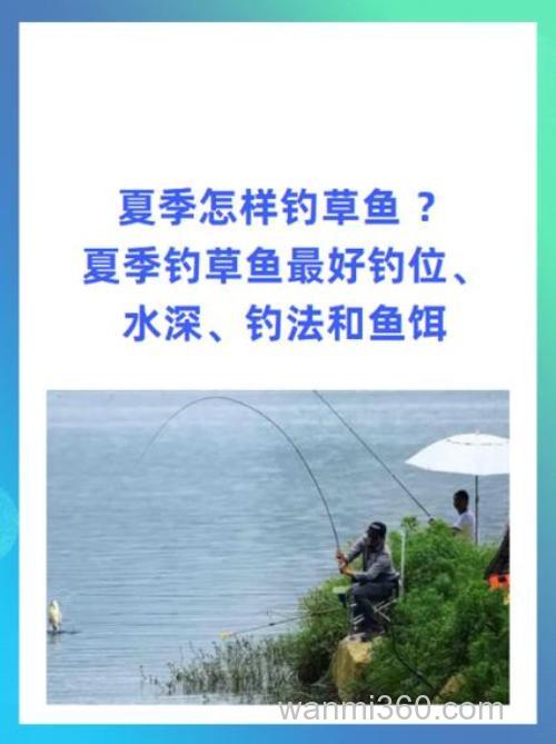 中午钓草鱼钓什么水位？