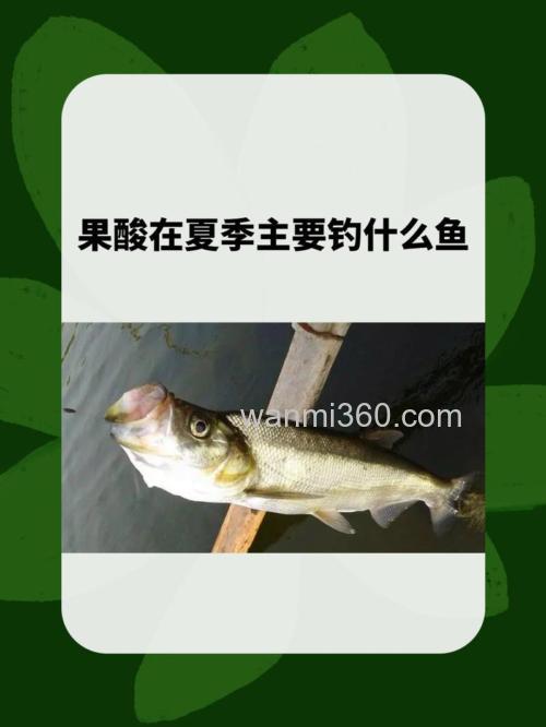 果酸钓什么鱼有效