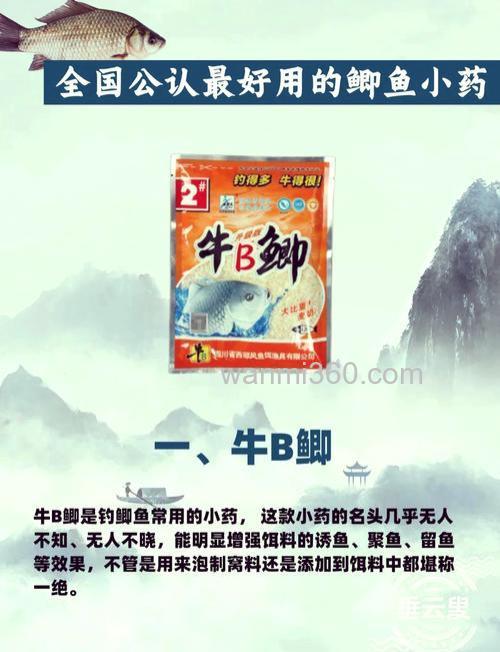 秋季钓锂鱼,鲫鱼什么小约最好用