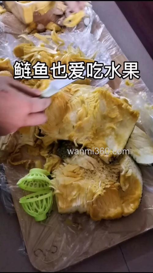 鲢鳙喜欢吃什么水果?