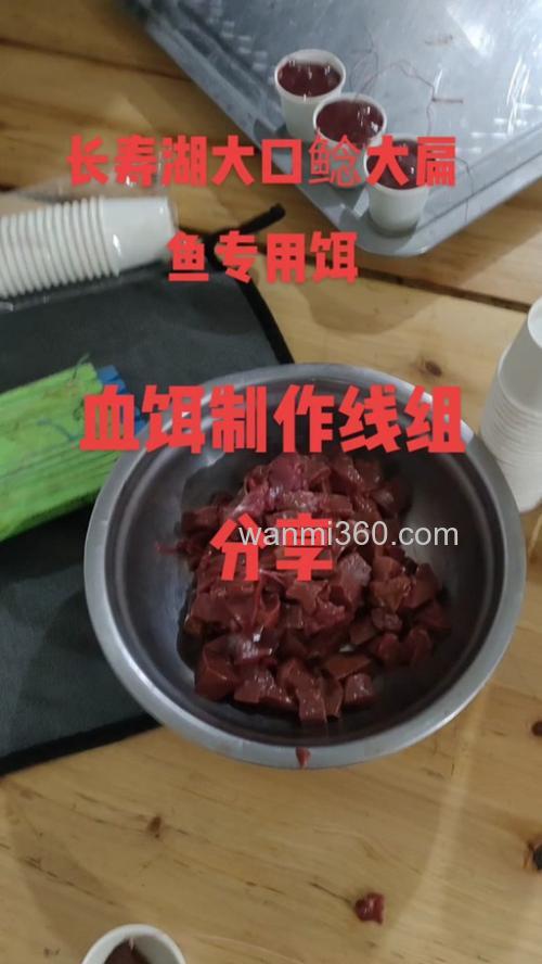 血饵怎样制作?