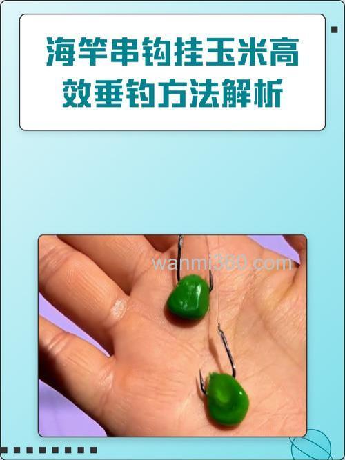 海竿挂玉米怎么钓鲤鱼？