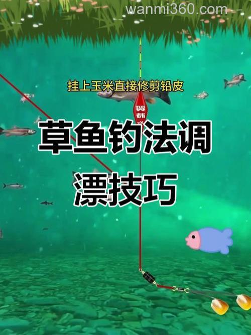 玉米钓草鱼钓离底怎么调漂?