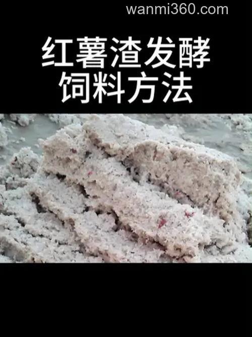 红薯粉渣可以喂鱼吗？