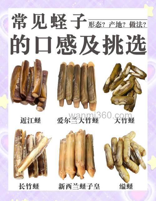 什么叫蛏子