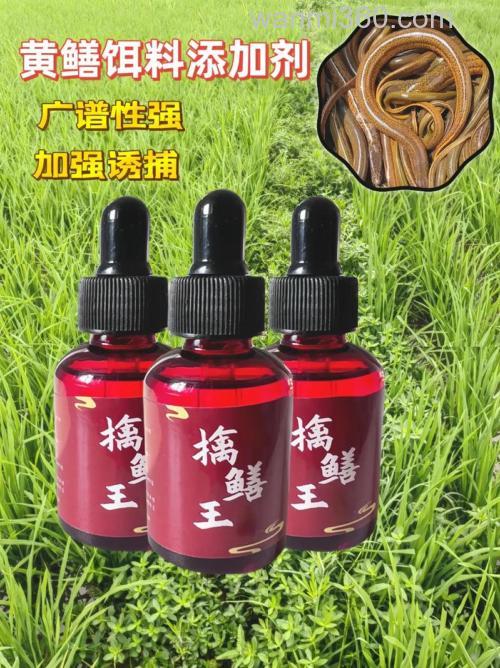 用什么药引诱蟥蟮最好