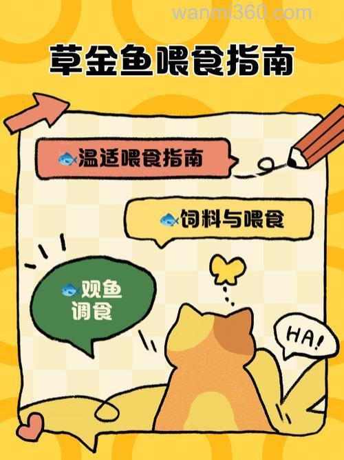 剩饭剩菜喂鱼的正确方法？