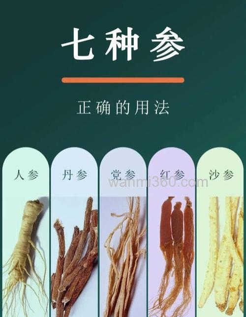 肉鱼三参是指哪三参?